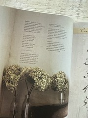La Vie est Belle Henrietta Heald HC 2013 French Style Interior Design Decor
