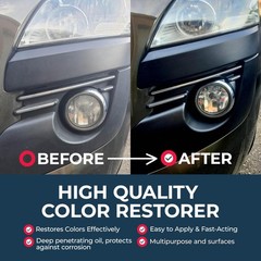 OWATROL Polytrol Plastic Restorer for Cars 17 Oz, Color Restorer, Car Bumpers…