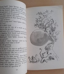 James and the Giant Peach by Roald Dahl English Book 5.0×7.8in