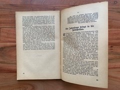 Der Internationale Jude – THE INTERNATIONAL JEW BY HENRY FORD, v.1,2 1922