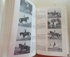Lot 7 Vintage Horse Riding Books Techniques Vet Genetics Dressage 3-Day Jumping