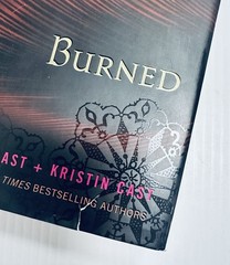 House of Night Series Lot 4 PC Cast Kristin Cast YA Fantasy Magic Vampyre