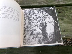 2 Children’s Book Pub. by Oxford University Press, FLOP-EARED HOUND/Real Photos