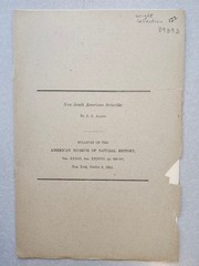 New South American Sciuridae J. A. Allen American Museum Natural History 1914 VG