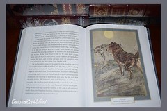 New Call of the Wild by Jack London Illustrated Leather Bound Sealed Collectible