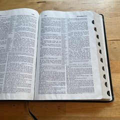 1985 NIV Study Bible Forest Green Bonded Leather Indexed Zondervan Red Letter