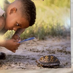Scholastic Big Book Las Ciencias Y Nuestro Mundo Spanish Science Outside Canizar