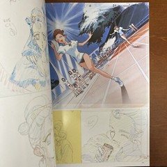 Revolutionary Girl Utena Art Book The hard core of UTENA Animation Side