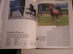 Equestrian WHO’S WHO IN AMERICAN SADDLEBREDS 1976 – 1983 equine history