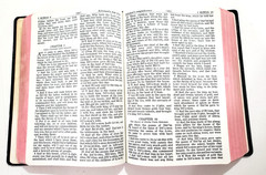 KJV Holy Bible self pronouncing LDS Mormon Red Pages Vintage