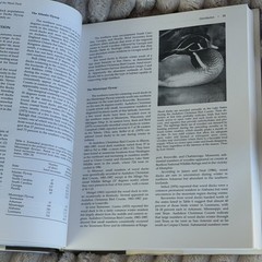 Ecology and Management of the Wood Duck Stackpole Books 1994 Hardcover