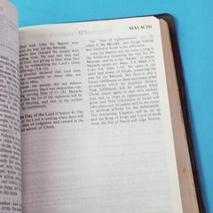 Jimmy Swaggart Reference Bible KJV Large Print Red Lettering Genuine Leather