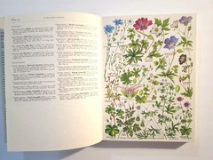 The Concise British Flora in Colour Keble Martin, 1st Edition 1965 HC