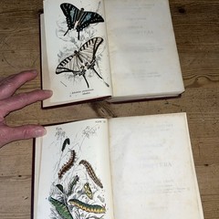 Lloyd’s Natural History 1896/97 BUTTERFLIES & MOTHS WF Kirby 5 Volumes