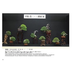 50th Gafuten Bonsai Exhibition Book Shohin Tree Pot Display Photo Book 10.1in