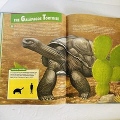 Lot 5 Elementary Nature Science Animal Kids Learning Books Hardcover Homeschool