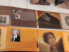 Harry Potter Ser.: Harry Potter and the Deathly Hallows by J. K. Rowling (2007,