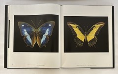 One Hundred Butterflies Hardcover Book by Harold Feinstein Dust Cover Color Pics