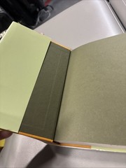My Neighbor Totoro by Tsugiko Kubo (1st Illustrated Japanese Printing, 2021)