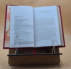 Lord Of The Flies [Premium Leather Bound]