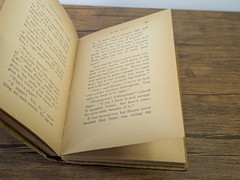Antique Lot of 3 Books – c. 1910s Little Prudy Series by Sophie May