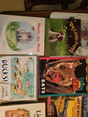 Fun Mixed Lot of Animal Children’s Books Lions Pop Up, Dogs, Bats, Wolves, Ducks