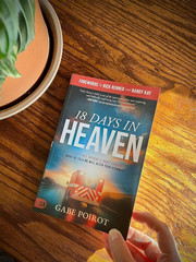 Near Death Experience Book 18 Days in Heaven Paperback True Story Faith Jesus