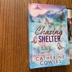 Chasing Shelter Catherine Cowles PR Hardcover Sparrow Falls