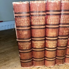 Lloyd’s Natural History 1896/97 BUTTERFLIES & MOTHS WF Kirby 5 Volumes