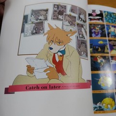 Animage Magazine “Nauicaa of the Valley Wind” I want to ee you againupplement