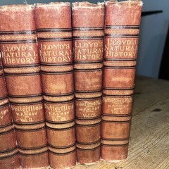 Lloyd’s Natural History 1896/97 BUTTERFLIES & MOTHS WF Kirby 5 Volumes