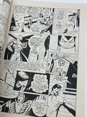 Profolio Alchemy STUDIOS, 1989, 130 pages B&W Comics Vol 3 No 1 vintage