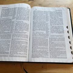 1985 NIV Study Bible Forest Green Bonded Leather Indexed Zondervan Red Letter