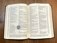 German Study Bible, Schlachter 2000, Burgundy Leather