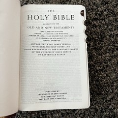 Brown Leather LDS Scripture Set – Holy Bible Book Of Mormon D&C Tabbed 5.25×7.5”