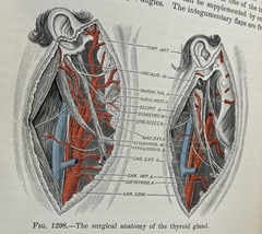 Antique 1900/1901 Two Volume Set Operative Surgery by Joseph D. Bryant, M.D.