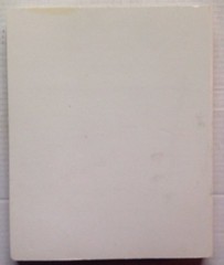 1999 STEVENSVILLE AMERICAN LEGION POST 568 COOKBOOK, STEVENSVILLE, MI, 317 PAGES