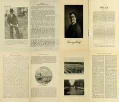 Illinois History Genealogy Ancestry Family Records V.5 – 115 Old Books on USB