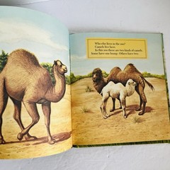 Lot 5 Elementary Nature Science Animal Kids Learning Books Hardcover Homeschool