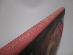 Blythe A Wonder World doll Art book Japan 2008 Junko Wong Graphic 168 pages USED