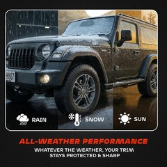BLAZON Black Trim Restorer 8 oz – Dye-Infused Solution for Car Trim