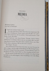 The Bond That Burns Deluxe Limited Edition : A Novel Hardcover Br