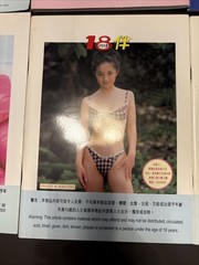 Rare Late 90’s Young 18 Year Magazine Adult Asian Photo Book Lot Of 6 Hong Kong