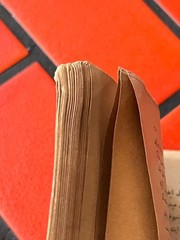 1924 Ottoman Turkish Book Gustave Le Bon Le Déséquilibre du Monde Looped Pages
