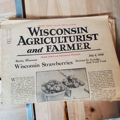 VTG Lot Of 8 Magazines/Newspapers – Wisconsin Agriculturist and Farmer 1935