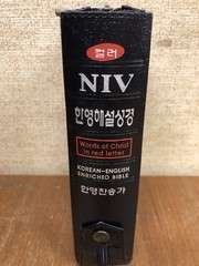 Korean-English Enriched Bible NIV Red Letter Edition Leather Zip Song Hymnal