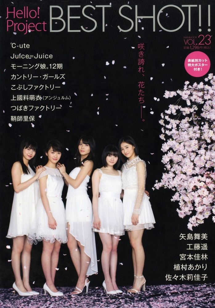 Hello! Project BEST SHOT!! VOL.23 (Wani Mook Series 225) book form JP
