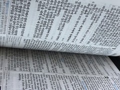 Korean-English Enriched Bible NIV Red Letter Edition Leather Zip Song Hymnal