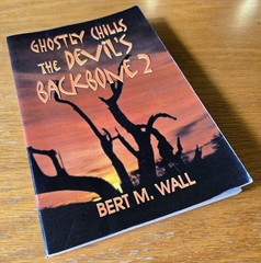Ghostly Chills: The Devil’s Backbone 2 by Bert M. Wall (2001, Trade Softcover)