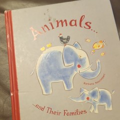 Owlkids Animals and Their Families Hardcover Barbara Nascimbeni Nonfiction Anim…